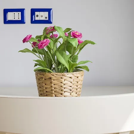 Apartmán Primopiano - Rg12